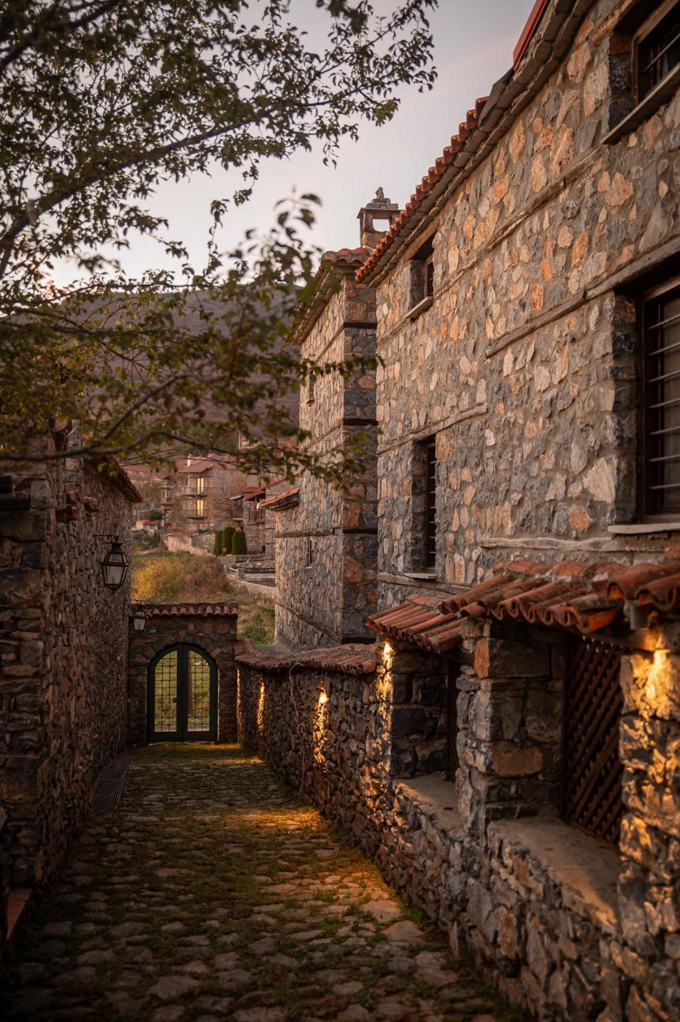 4 Seasons Premium Chalet Agios Athanasios  Exterior foto